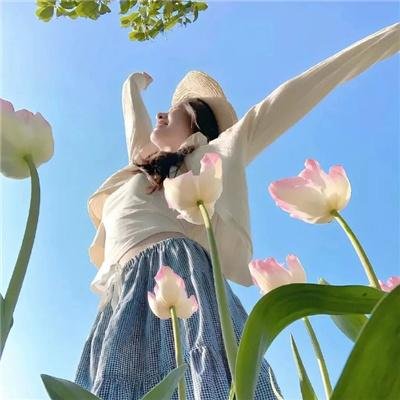 机动战士高达逆A剧场版Ⅱ：月光蝶